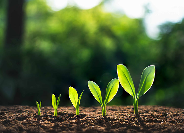 geothermal greenhouse investment